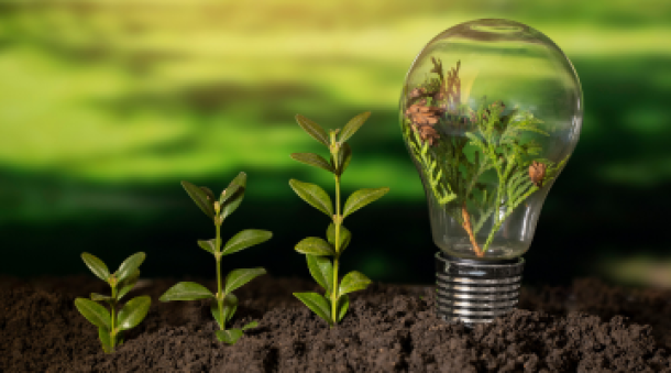 Sustentabilidade em Ação