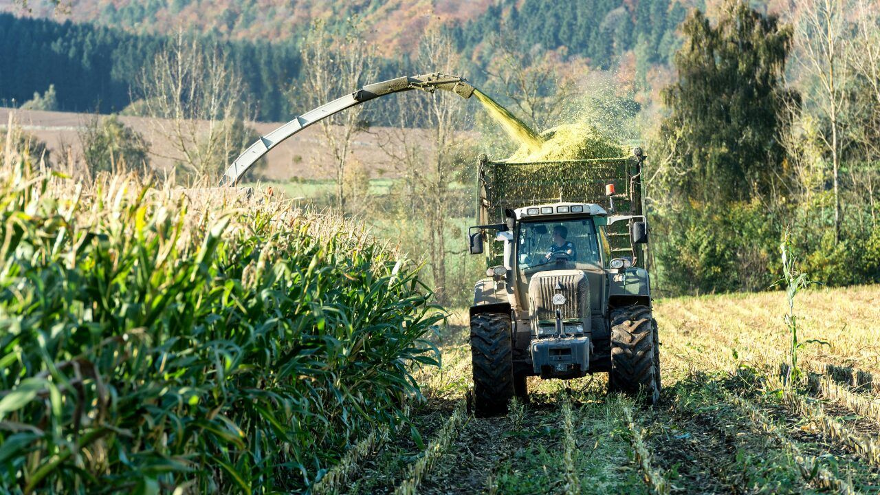O mercado do agronegócio em 2025
