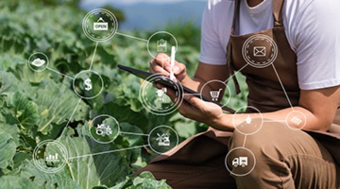 Como enfrentar os desafios da gestão na agropecuária