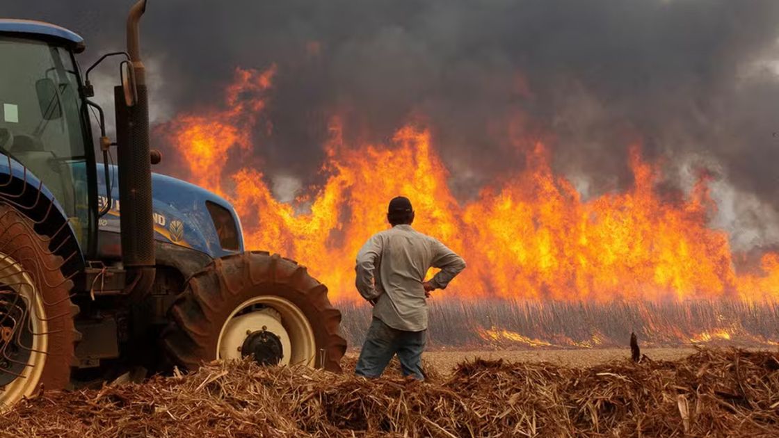 Gestão de Queimadas no Agro