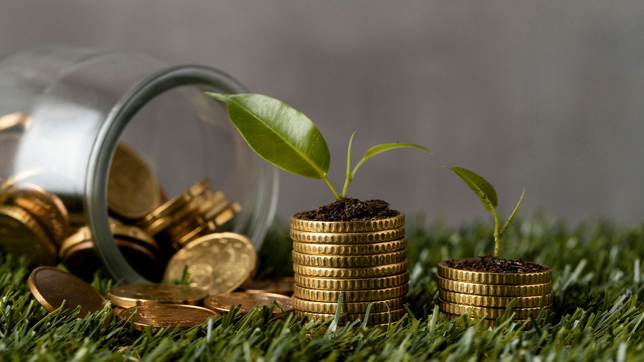 Margem de Lucro: Saiba Como Calcular no Seu Negócio Agrícola