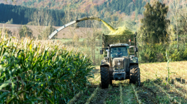 O mercado do agronegócio em 2025