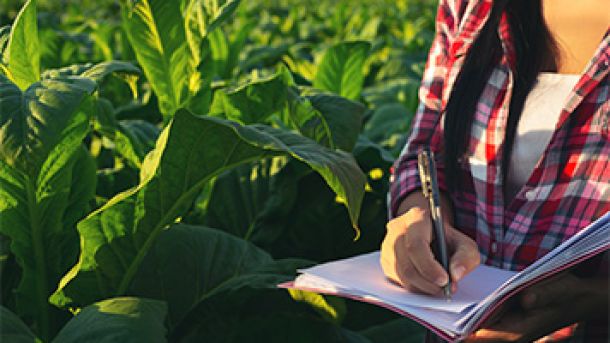 regulamentação brasileira para o agronegócio
