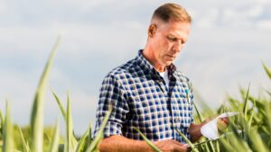 Receituário Agronômico